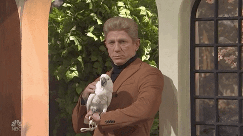 Daniel Craig Carrying The Parrot GIF