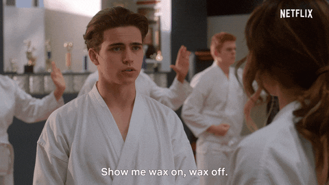 Daniel Larusso Want To See Wax On Wax Off GIF