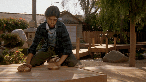 Daniel Larusso Wax On Wax Off Training GIF