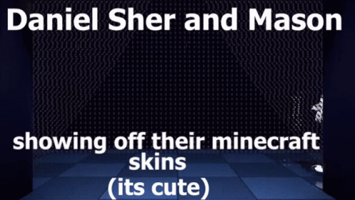 Daniel Sher And Mason Showing Off Their Minecraft Skins GIF