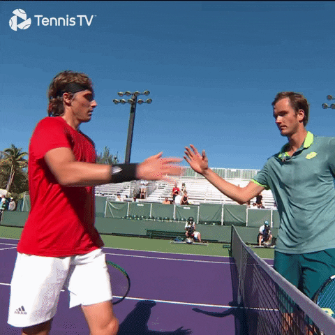 Daniil Medvedev Shake Hands GIF