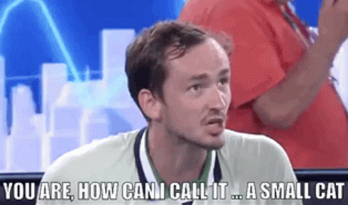 Daniil Medvedev Small Cat GIF