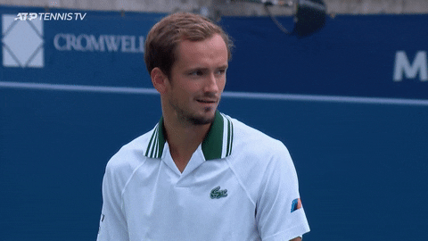 Daniil Medvedev Smirking GIF