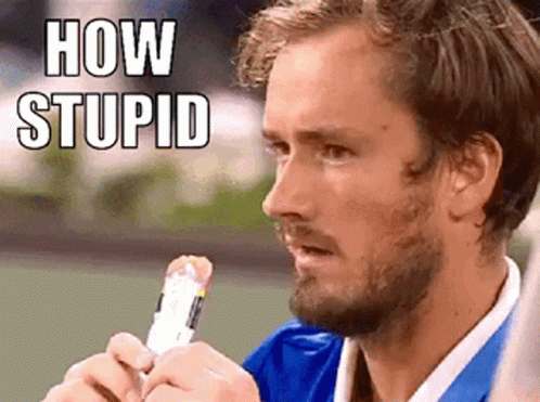 Daniil Medvedev Stupid GIF