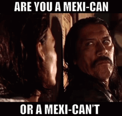 Danny Trejo Are You Mexican GIF