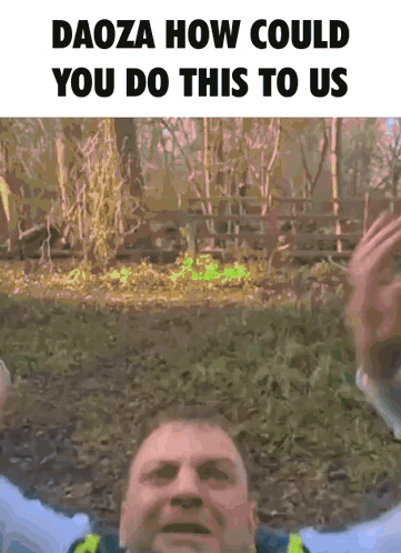 Daoza How Could You Do This Meme GIF