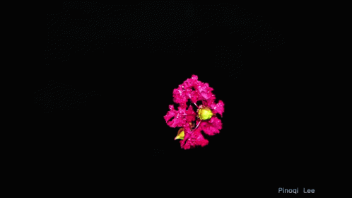 Dark Background With Words GIF
