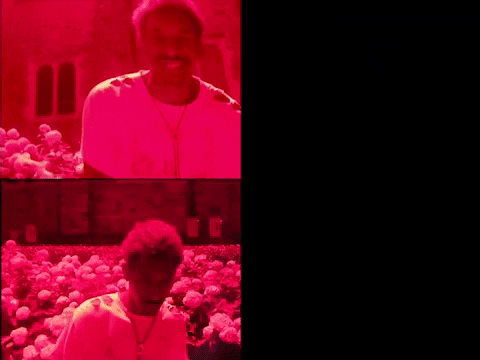 Dark Floral Black Party Music Video GIF