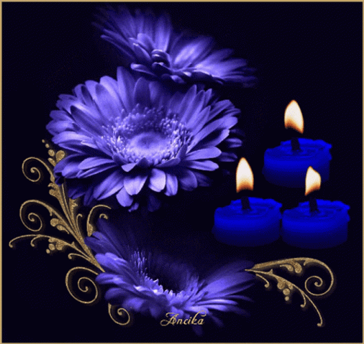 Dark Floral Candle Light GIF
