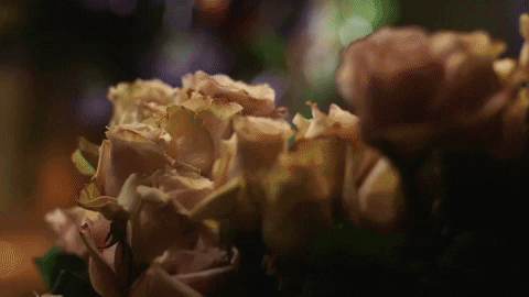 Dark Floral Flower Guy GIF