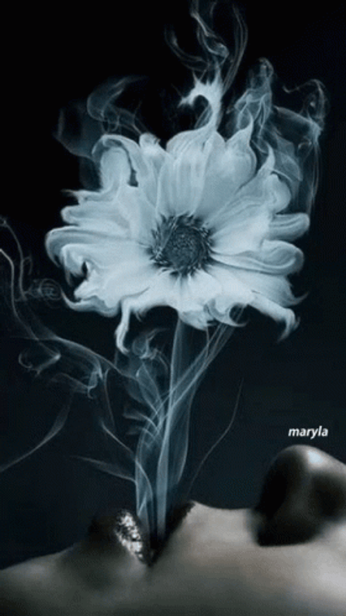 Dark Floral Flower Smoke GIF