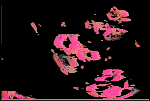 Dark Floral Pink Silhouette GIF