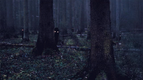 Dark Forest With Glowing Eyes GIF