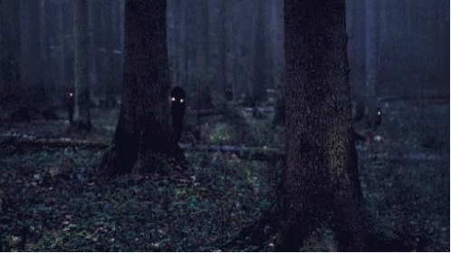 Dark Forest With Glowing Eyes Trees GIF