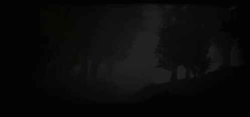 Dark Forest With Trees In Fog GIF