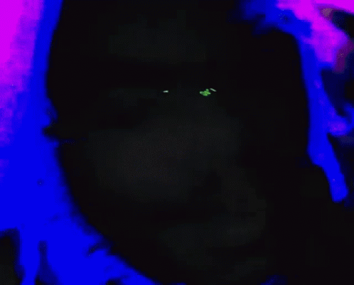 Dark Room with Green Light and Smoke