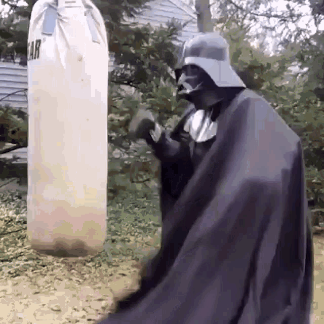 Darth Vader Boxing GIF