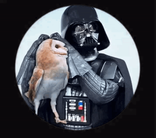 Darth Vader Is Holding An Owl In His Arms While Wearing A Helmet GIF