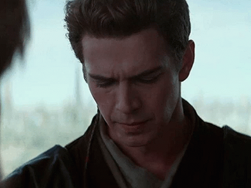 Darth Vader Yes Master GIF
