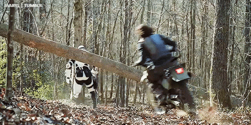 Daryl Dixon Motor Stunt GIF