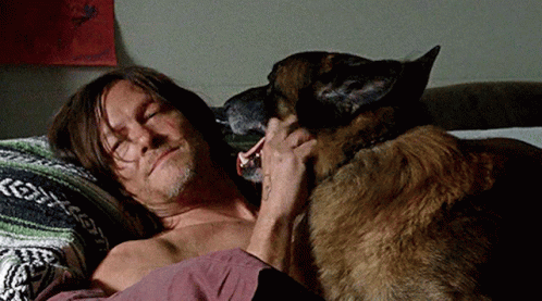 Daryl Dixon With Dog In Bed GIF