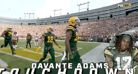 Davante Adams Touch Down GIF