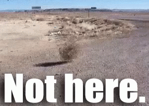 Dave's Not Here In Desert Man GIF