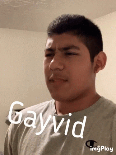 Dave's Not Here Man Man Gayvid GIF
