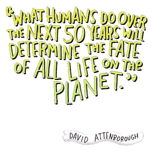 David Attenborough Quote About Humanity's Impact