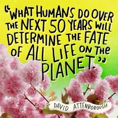 David Attenborough Quote Surrounded by Flowers