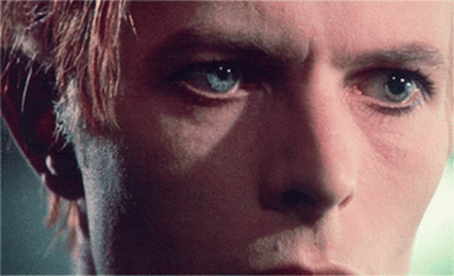 David Bowie Fixing Hair GIF