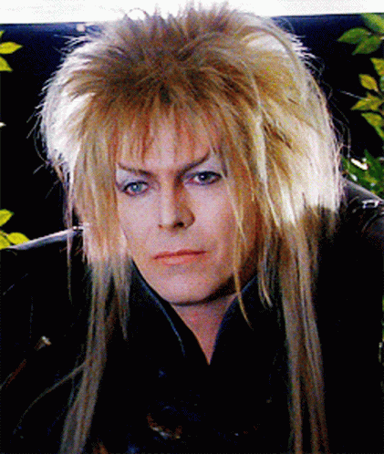 David Bowie Rare Hairstyle GIF