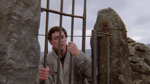 David Dukes Desperate Let Me In Meme GIF