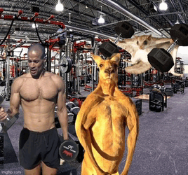 David Goggins Kangaroo Gym Rat GIF