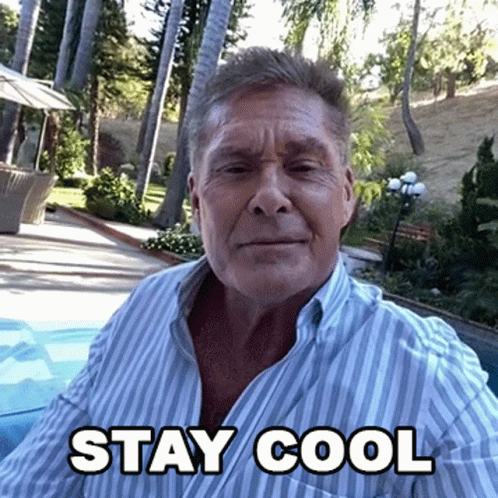 David Hasselhoff Stay Cool GIF