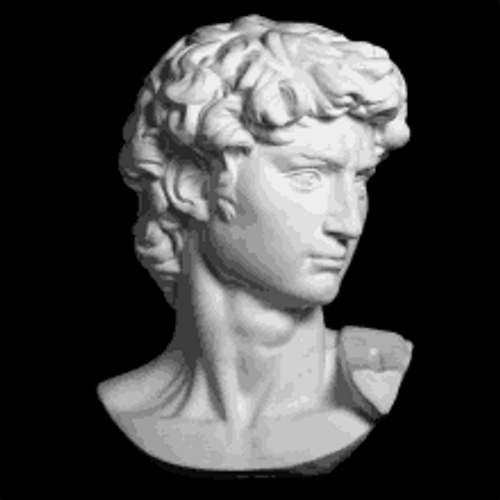 David Of Michelangelo Head Sculpture GIF