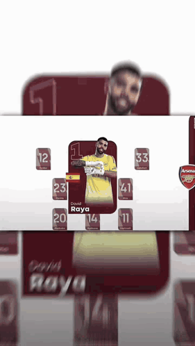 David Raya Soccer Player Card GIF