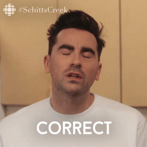 David Rose Awkward Reaction Schitts Creek Correct GIF