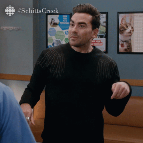 David Rose Schitts Creek Forced Yes GIF