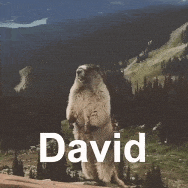 David Scream Gif GIF