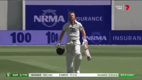 David Warner 100 Celebration Gif GIF