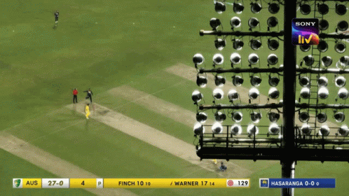 David Warner Cricket Bat Hits GIF