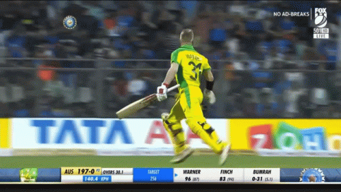 David Warner Cricket Celebraton GIF