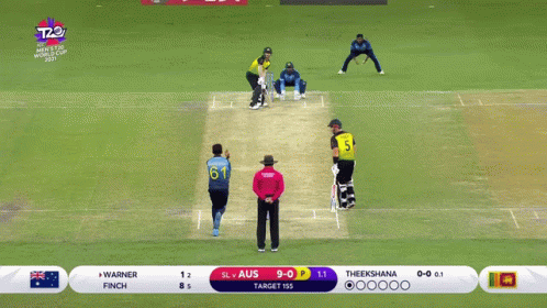 David Warner Cricket Explosive Swing GIF