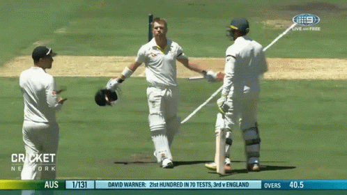 David Warner Cricket Happy Celebrate GIF