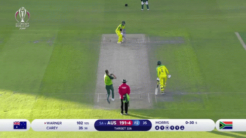 David Warner Cricket Legend Swing GIF
