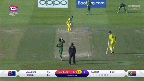 David Warner Cricket Long Shot GIF