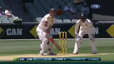 David Warner Cricket Not Out GIF