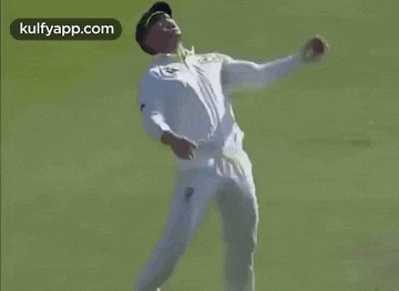 David Warner.gif Gif GIF