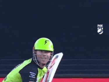 David Warner Hits Self With Bat Gif GIF